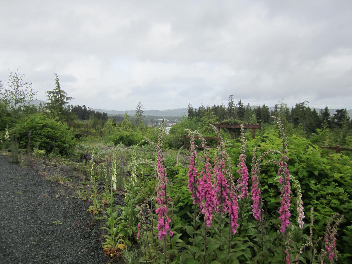 Ecoscape Cabins Hotel Port Hardy Esterno foto