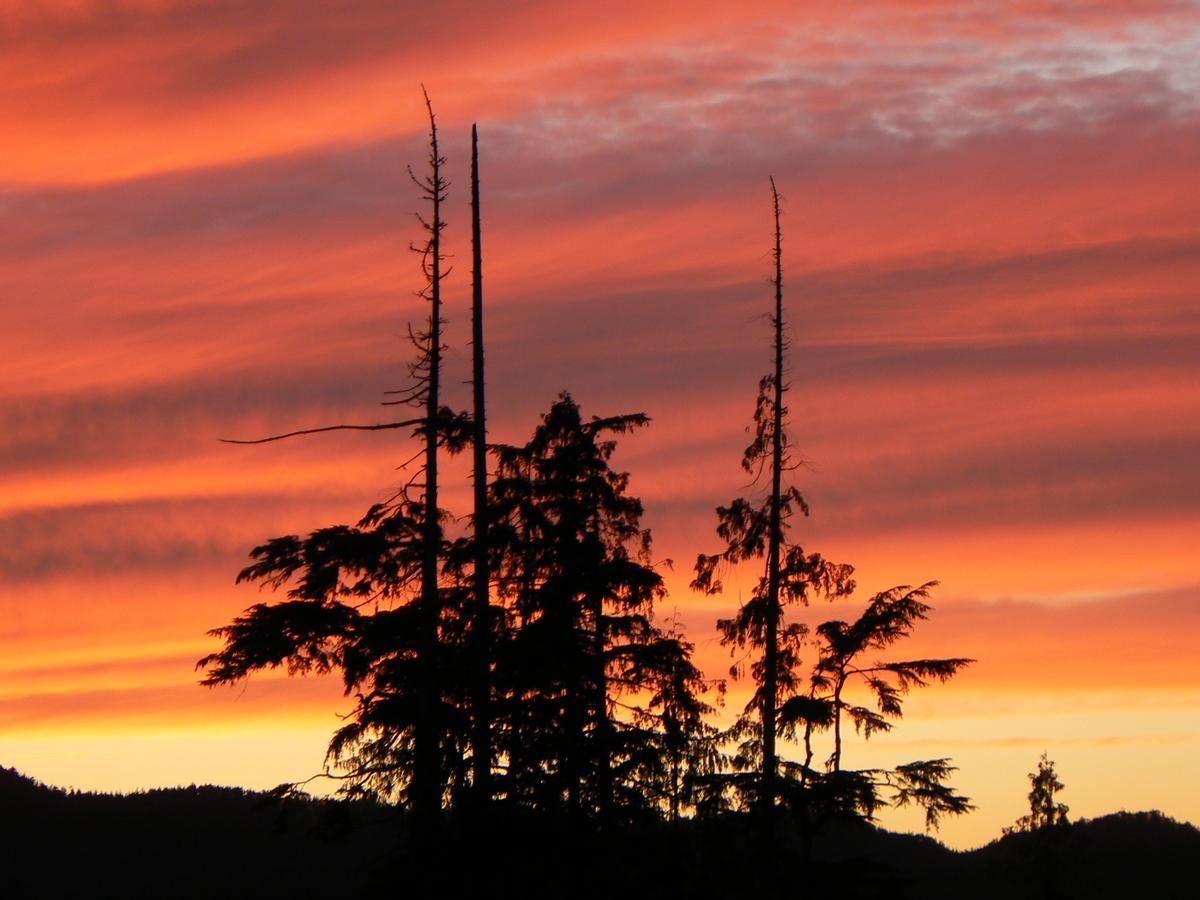 Ecoscape Cabins Hotel Port Hardy Esterno foto